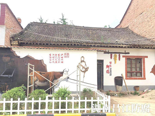 新農(nóng)村建設墻繪 (9)